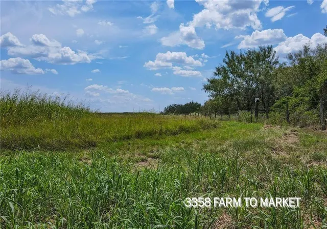 Photo 4 of Land for sale at Tbd Fm 166 54 Acres, Caldwell, TX 77836 | MLS# 29720335 | Listing updated on 2026-06-17