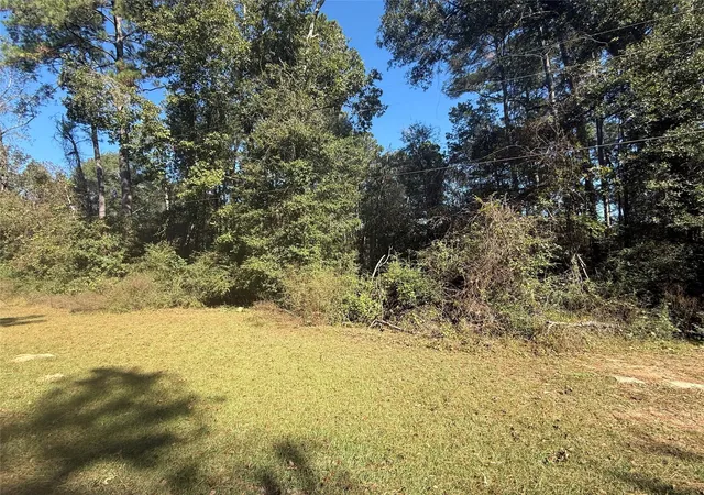 Photo 3 of Land for sale at Tbd2 Lake Shore Dr, Conroe, TX 77303 | MLS# 44347085 | Listing updated on 2026-02-23