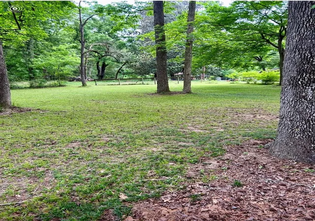 50th image of 141 Walnut Loop Loop, Shepherd, TX 77371 | MLS# 86197838