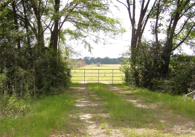 2nd image of 968 Cr 3490, Lovelady, TX 75851 | MLS# 52535417