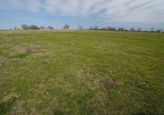 Photo 3 of Land for sale at 1011 Fm 956, Schulenburg, TX 78956 | MLS# 53197421 | Listing updated on 2026-07-20