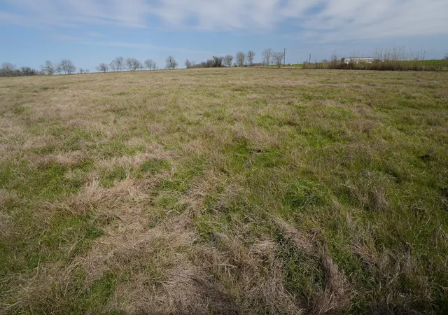 Photo 4 of Land for sale at 1011 Fm 956, Schulenburg, TX 78956 | MLS# 53197421 | Listing updated on 2026-07-20