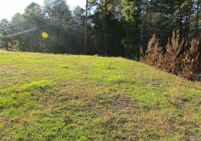 2nd image of Tbd Hwy 190 East E, Huntsville, TX 77340 | MLS# 72097862