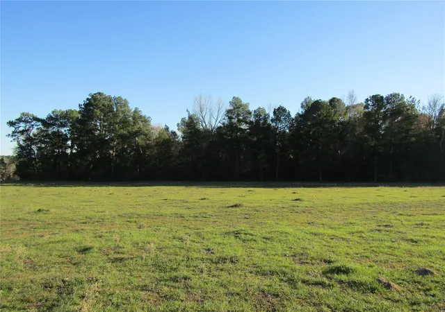 4th image of Tbd Hwy 190 East E, Huntsville, TX 77340 | MLS# 72097862