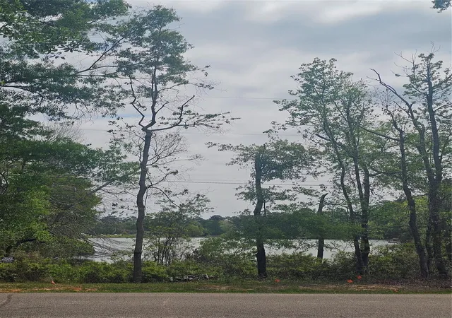 Land for sale at 13095 Royal Shrs Dr, Conroe, TX 77303 | MLS# 58938670