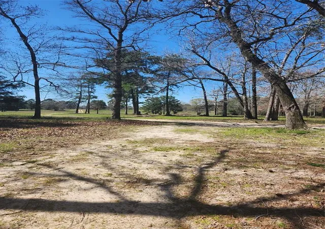 Photo 21 of Land for sale at 10994 N Bilnoski Rd, Willis, TX 77378 | MLS# 64729396 | Listing updated on 2026-02-15