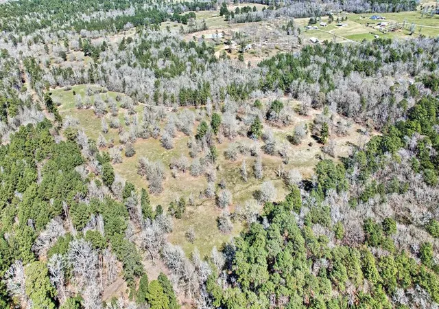 Photo 3 of Land for sale at 10994 N Bilnoski Rd, Willis, TX 77378 | MLS# 64729396 | Listing updated on 2026-02-15