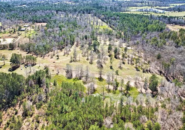 Photo 4 of Land for sale at 10994 N Bilnoski Rd, Willis, TX 77378 | MLS# 64729396 | Listing updated on 2026-02-15