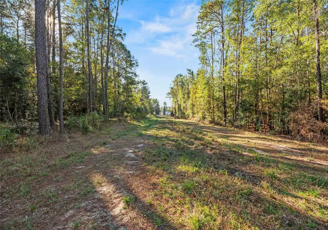 4th image of 0 Fm 1485, Huffman, TX 77357 | MLS# 85573207