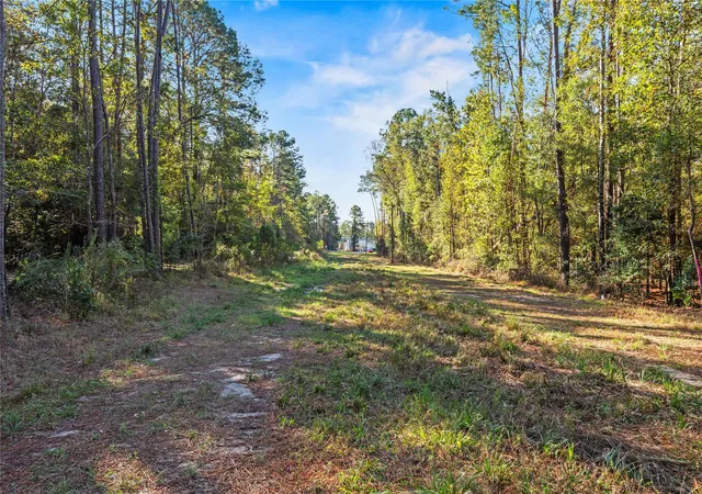 5th image of 0 Fm 1485, Huffman, TX 77357 | MLS# 85573207