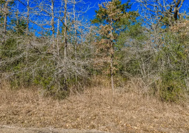 5th image of 2113 County Road 278, Somerville, TX 77879 | MLS# 67342301