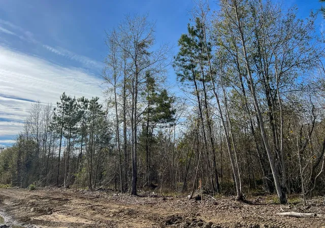 Photo 4 of Land for sale at T-1 Lakeview Rd, Vidor, TX 77662 | MLS# 88887458 | Listing updated on 2026-04-27