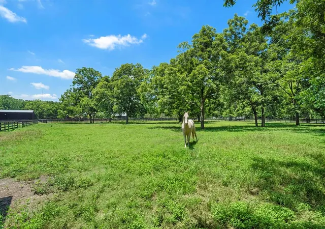 12th image of 32927 Southern Manors Dr, Fulshear, TX 77441 | MLS# 12509350