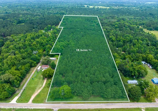 Homes for sale in Winona, TX | 21135 Fm 1252, Winona, TX 75706 | MLS# 97911791