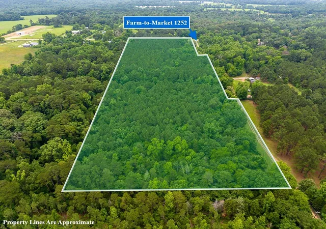 Homes for sale in Winona, TX | 21135 Fm 1252, Winona, TX 75706 | MLS# 97911791