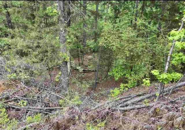 3rd image of Tbd County Road 2907, Hughes Springs, TX 75656 | MLS# 53415106