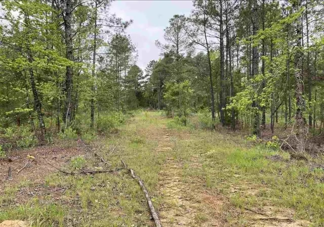 4th image of Tbd County Road 2907, Hughes Springs, TX 75656 | MLS# 53415106