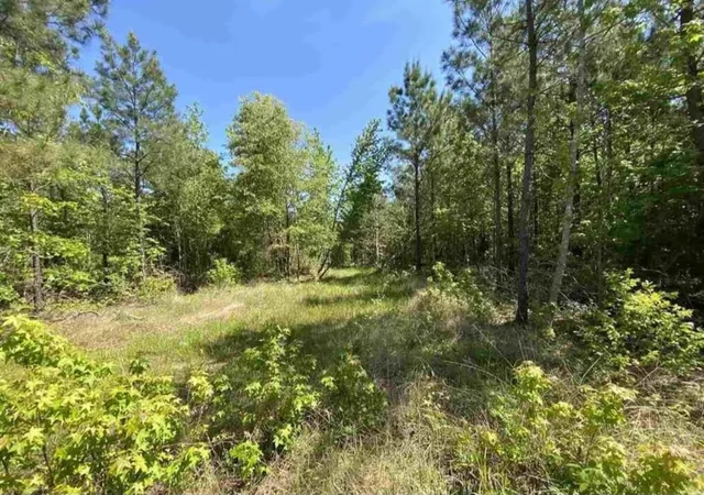 5th image of Tbd County Road 2907, Hughes Springs, TX 75656 | MLS# 53415106