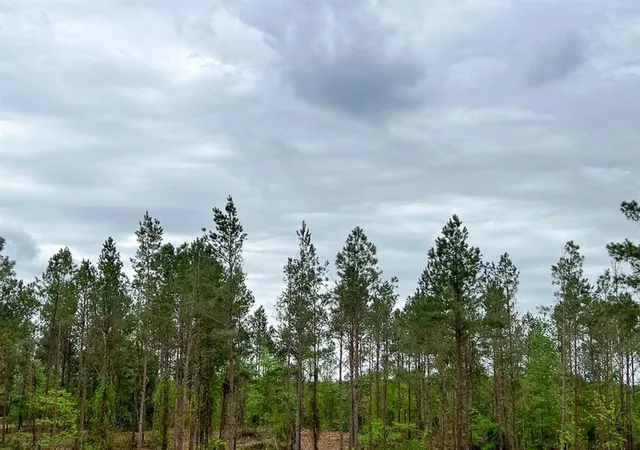 Photo 3 of Land for sale at 25 Cr 2145, Crockett, TX 75835 | MLS# 91262510 | Listing updated on 2026-02-09
