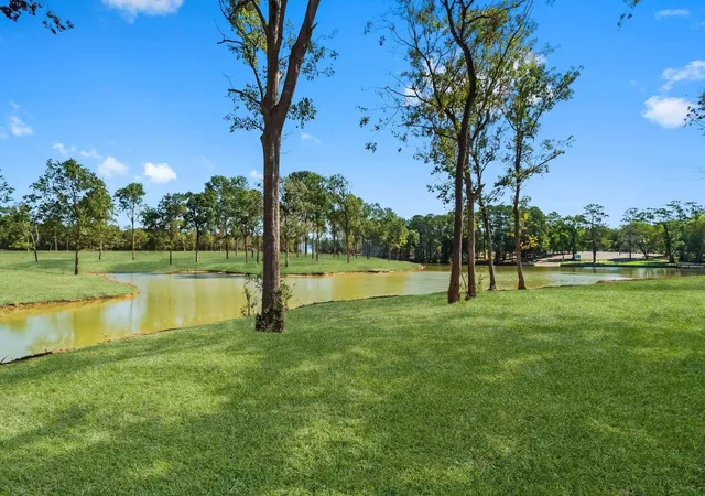 Photo 2 of Land for sale at Lot 9 Lake Cvs Ct, Livingston, TX 77351 | MLS# 6296951 | Listing updated on 2026-05-27