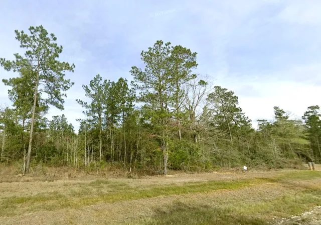 Photo 3 of Land for sale at 1-4-63 Courage Trl, New Waverly, TX 77358 | MLS# 76473507 | Listing updated on 2026-09-20