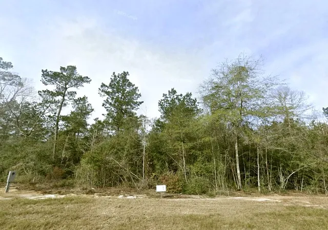 Photo 4 of Land for sale at 1-4-63 Courage Trl, New Waverly, TX 77358 | MLS# 76473507 | Listing updated on 2026-09-20
