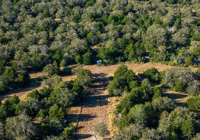 Homes for sale in Weimar, TX | 1883 County Road 273, Weimar, TX 78962 | MLS# 90466690