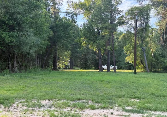 1st image of 14579 Hwy 87 N, Burkeville, TX 75932 | MLS# 3977881