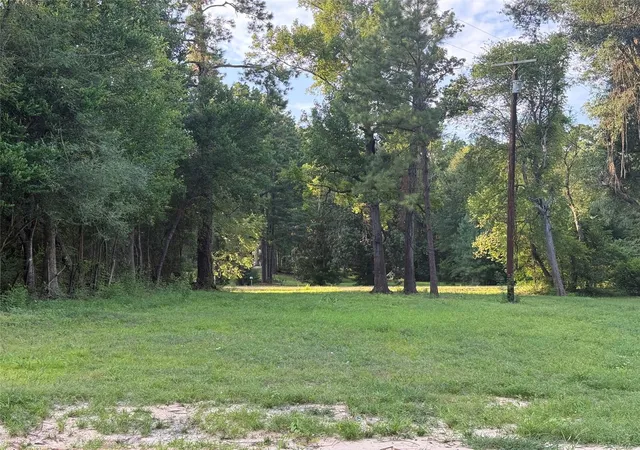 2nd image of 14579 Hwy 87 N, Burkeville, TX 75932 | MLS# 3977881