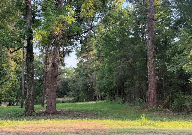 Photo 3 of Sale Pending at 14579 Highway 87 N, Burkeville, TX 75932 | MLS# 3977881 | Listing updated on 2026-10-06