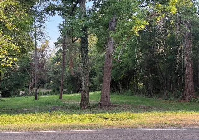 Photo 3 of Sale Pending at 14579 Highway 87 N, Burkeville, TX 75932 | MLS# 3977881 | Listing updated on 2026-10-06