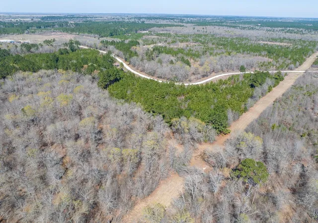 Land for sale at 1 Bo Brown Rd, Trinity, TX 75862 | MLS# 8885513