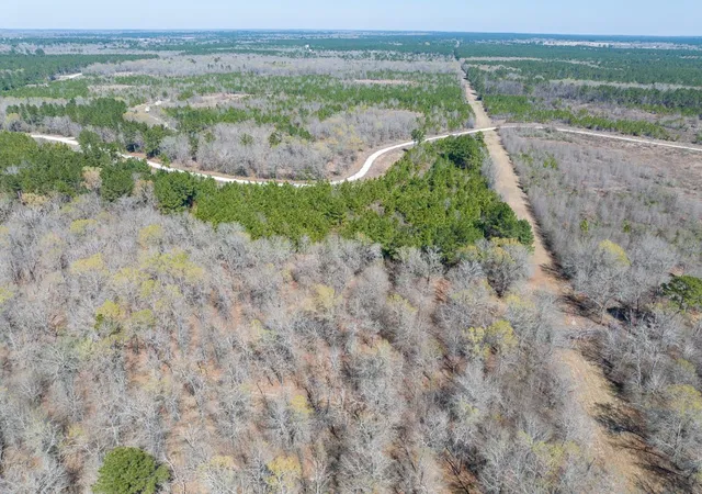 Photo 1 of Land for sale at 1 Bo Brown Rd, Trinity, TX 75862 | MLS# 8885513 | Listing updated on 2026-03-06