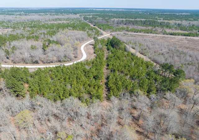 Photo 2 of Land for sale at 1 Bo Brown Rd, Trinity, TX 75862 | MLS# 8885513 | Listing updated on 2026-03-06