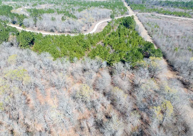Photo 3 of Land for sale at 1 Bo Brown Rd, Trinity, TX 75862 | MLS# 8885513 | Listing updated on 2026-03-06