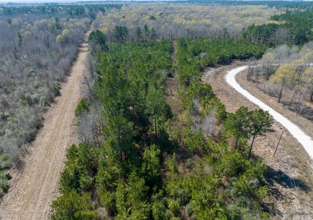 Photo 4 of Land for sale at 1 Bo Brown Rd, Trinity, TX 75862 | MLS# 8885513 | Listing updated on 2026-03-06