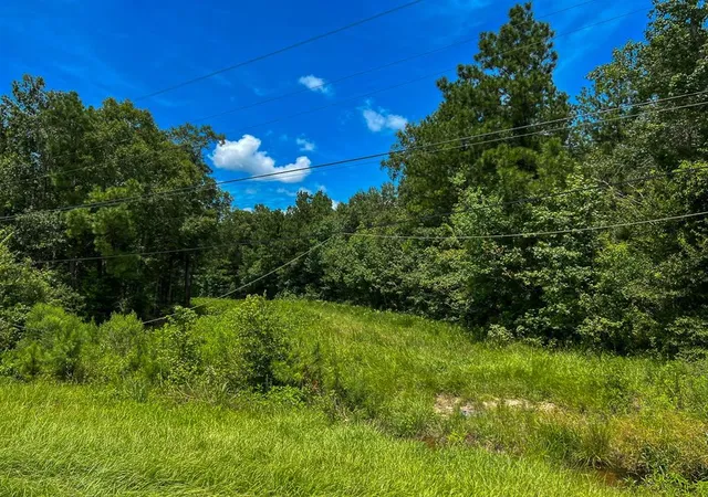 4th image of 0 Fm 1132, Vidor, TX 77662 | MLS# 93970706