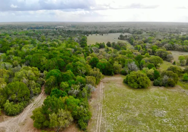 Homes for sale in Hallettsville, TX | 0 Fm 530, Hallettsville, TX 77964 | MLS# 45631915