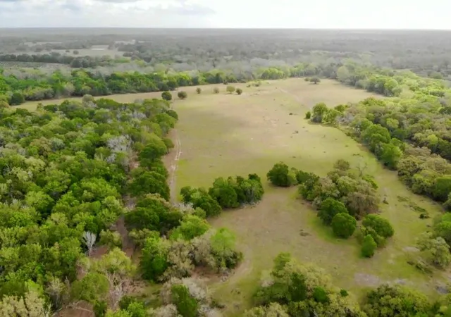 Homes for sale in Hallettsville, TX | 0 Fm 530, Hallettsville, TX 77964 | MLS# 45631915