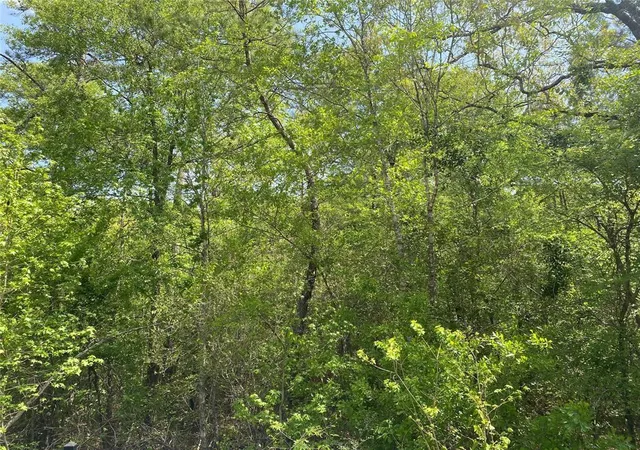 Photo 1 of Land for sale at 0 Hollybrook Dr, Plantersville, TX 77363 | MLS# 41252211 | Listing updated on 2026-01-01