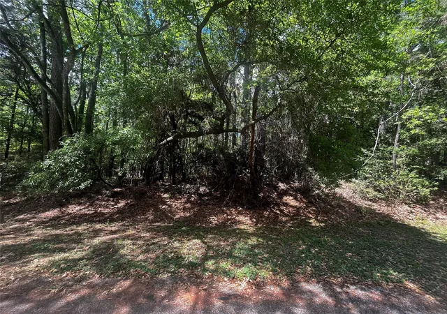 Photo 2 of Land for sale at 73 Sunny Hl Dr, Coldspring, TX 77331 | MLS# 78447097 | Listing updated on 2026-09-19