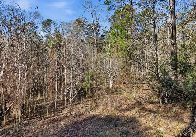 1st image of 530 Smith Ln, Cleveland, TX 77328 | MLS# 73476711
