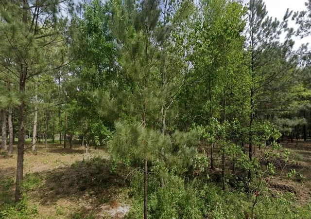 Photo 3 of Land for sale at Tbd1 Humbird, Cleveland, TX 77328 | MLS# 52580053 | Listing updated on 2026-03-19