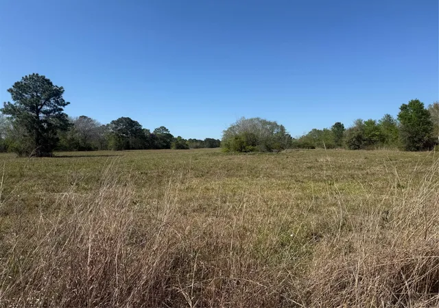 Photo 1 of Land for sale at 12217 Fm 1462, Alvin, TX 77511 | MLS# 97268518 | Listing updated on 2026-04-06