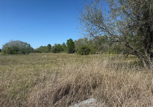 Photo 2 of Land for sale at 12217 Fm 1462, Alvin, TX 77511 | MLS# 97268518 | Listing updated on 2026-04-06
