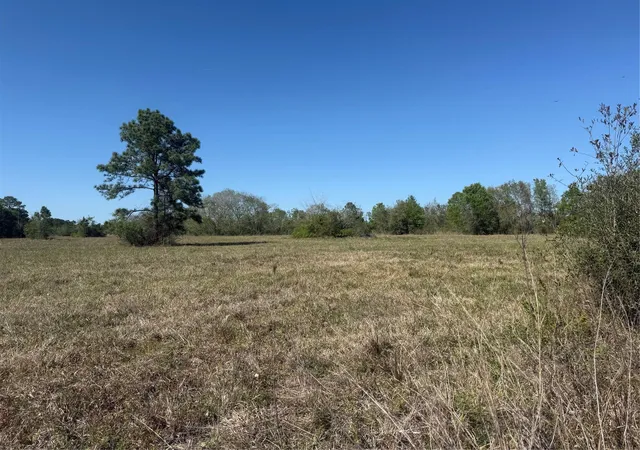 Photo 4 of Land for sale at 12217 Fm 1462, Alvin, TX 77511 | MLS# 97268518 | Listing updated on 2026-04-06