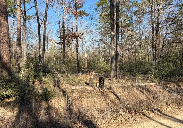 Photo 3 of Land for sale at Tbd Wild Bird Ln, Livingston, TX 77351 | MLS# 88579586 | Listing updated on 2026-10-07