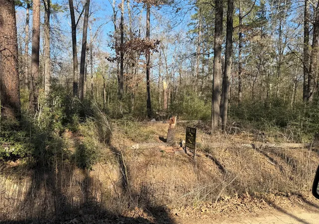 Photo 3 of Land for sale at Tbd Wild Bird Ln, Livingston, TX 77351 | MLS# 88579586 | Listing updated on 2026-10-07