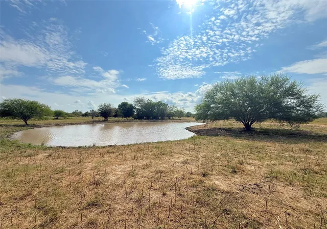 Homes for sale in Damon, TX | 25611 Cr-25, Damon, TX 77430 | MLS# 4946781