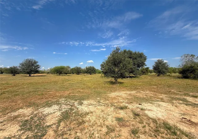 Homes for sale in Damon, TX | 25611 Cr-25, Damon, TX 77430 | MLS# 4946781